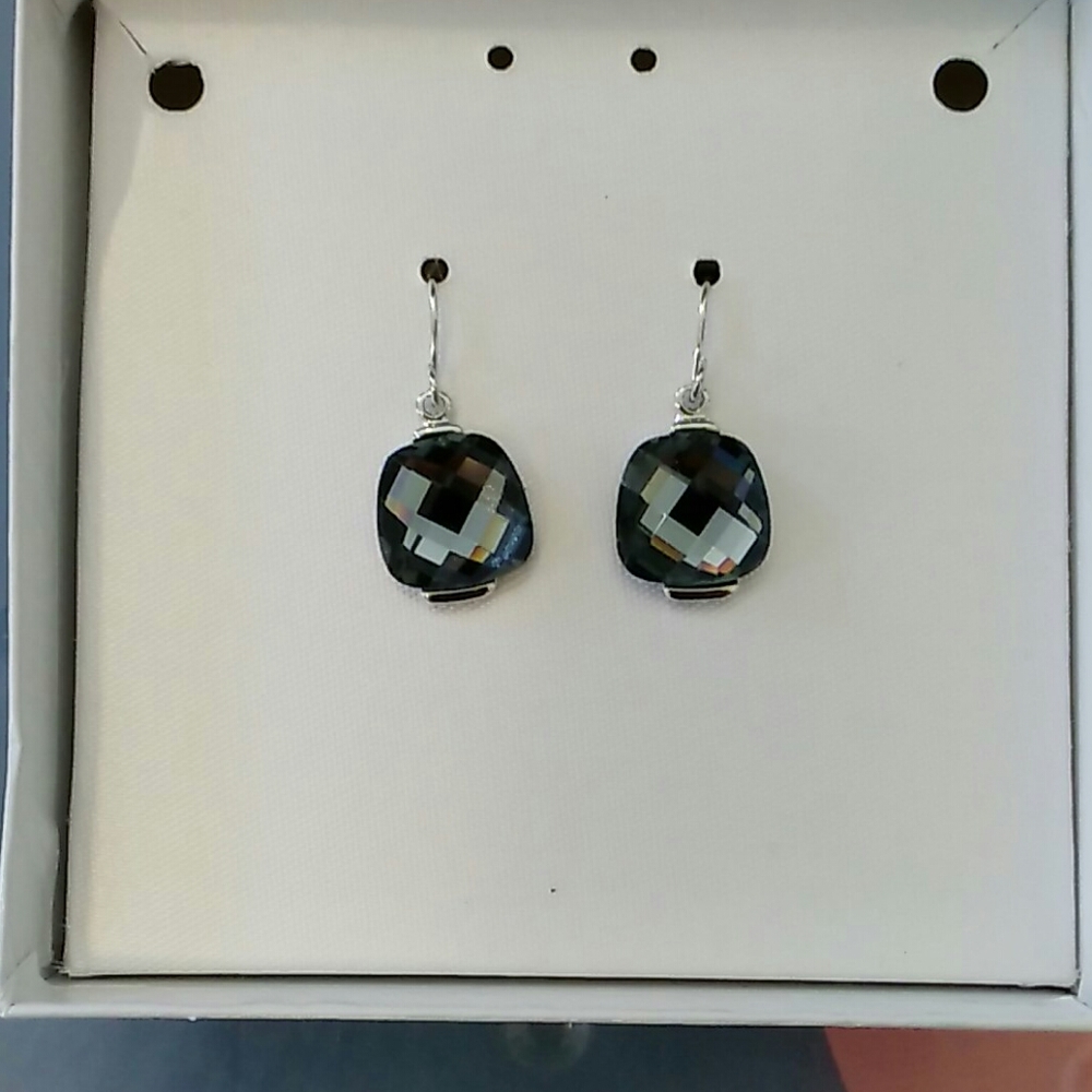NWOT Gray and silver-toned earrings